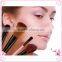 Beauty Brush Sets Makeup and Makeup Brushes Free Samples Offer Quality Choice