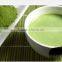 Organic Matcha Green Tea Powder Green Tea Matcha