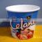 470ml Paper Printed pint ice cream Containers/Cups