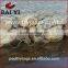 Galvanized Gabion Use For Glass Rock Made In China