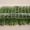 Wall Decorative Lush Plastic Indoor Green Artificial Needle Leaves Grass Mat Hedge for Sell