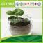 microbial fungicide for seed treatment to prevent fungi, soil brone disease