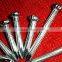 well quanltiy Polished Concrete steel Nail
