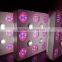 Wholesale grow equipment hydroponic panel led grow light 600w from Geyapex