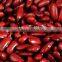 supplying CHINA red kidney beans