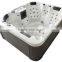 6 people use swim spa outdoor massage whirlpool bath tub