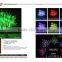 IP65 Remote control RGB cherry blossom decorative led tree