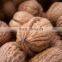 walnut shell powder form