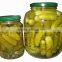 Vietnam canned pickled cucumbers in jar, baby cucumbers - Cheap price!