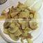 sellers for oyster mushrooms