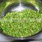 DPL-300 CE Qualified Bean Sheller Peeler Peeling Machine