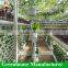 Hydroponic greenhouse wholesale suppliers