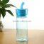 2016 Amazon BPA Free Promotional Christmas Gift Leak Proof Reusable Plastic Drinking Water Bottle For Sports 650ml/750ml