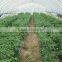 Factory price from China for tunnel agricultural use