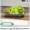 Garden Plants Bag,Tomatoes Plant Bag , Peppers, Herbs and Potatoes Growing Bag