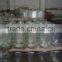 Glass mason jar beverage juice dispenser with tap/faucet-4/8L/litre