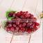 fake artificial rubber grapes,decorative artificial grapes,grape concentrate
