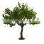 cheap artificial apple tree plastic recycling plant decorative large foliage plants