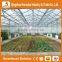 Factory price trade assurance greenhouse accessories- low cost agricultural PC greenhouse for tomato