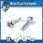 Made in Taiwan Slotted Phillips Pozi Pan Cheese Head Machine Screw Brass Material Stainless Steel Carbon Steel