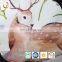 100% polyester printed knitting brush fabric