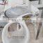Commercial Automatic Carrot Ginger Pineapple Fruit Juicer Machine