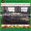 China popular selling Air Bubble Vegetable and Fruit Washing Machine