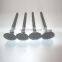 Engine Spare Parts for V2003 Intake & Exhaust Valve for sale