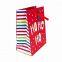 Custom coated paper Christmas gift packaging bag