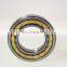 Hot Selling Factory Price Silver NU202 Double Row Cylindrical Roller Bearing Carbon RN309