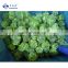 Sinocharm BRC A approved IQF Spinach Ball Frozen Spinach Ball