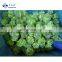 Sinocharm BRC A одобренные замороженные шарики из шпината IQF Spinach Ball