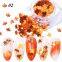 Nail accessories Fantasy Opal powder ultra-thin polarized light Fantasy Cloud Brocade powder Ice crystal nail decoration