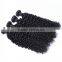 Fashion Afro Kinky Curly Indian Remy Hair Curly Weave Extension China Suppliers That Accept Paypal