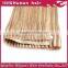 Very Popular Human Manufacturer 100% brazilian virgin hair Hand Tied Weft Hair Extension