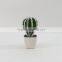 2014 best selling Potted indoor mini artificial cactus plants