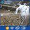 High quality building products decorative steel wire rope mesh for zoo fence(Manufacture)