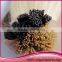 Pre-bonded I-tip Hair Extensions Wholesale I Tip Kertain 613 1g