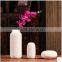 white bisque matte ceramic chinese decorative flower vase for home centerpiece                        
                                                Quality Choice