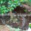 Natural Organic Fertilizer