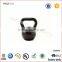 PROIRON Gym Tone Fitness Exercise Cast Iron Kettlebell