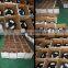 Cold white SMD5050 LED Neon flex light China supplier