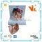 V-AM019 Natual Size Plastic Human Heart Anatomical Model For School Teaching