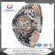 Custom OEM Plastic Quartz Watch