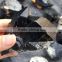 Wholesale Natural Rough Black Quartz Crystal Cluster Specimen