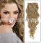 clip on human hair extension /clip in human hair/clip hair /clip hair extension/clip on /in human hair /hair product/natral hair