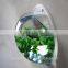 wall mounted decorated small plastic fish bowls