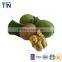 TTN Chinese Organic Raw Walnuts in Shell Price Walnut