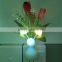 BBY-NL1502W2 LED mushroom beautiful night light with sensor