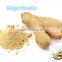 High Quality Ginger Extract Powder Natural Pure Ginger Powder with HOT SALE Price
